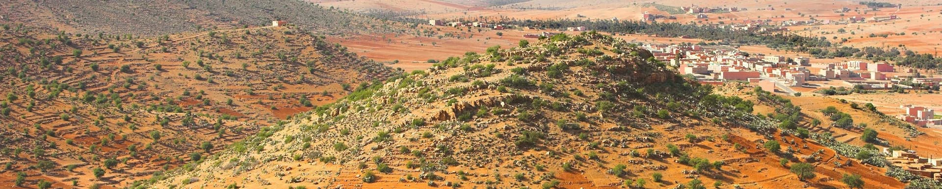 overview